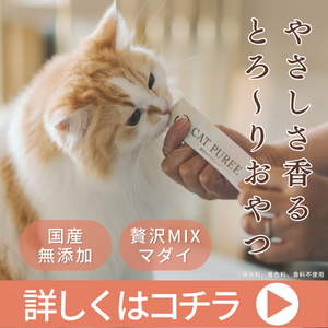 犬猫生活 猫用おやつピューレ